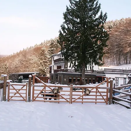 Spacious Holiday Home In Hirschrott Near Lake ジンメラート