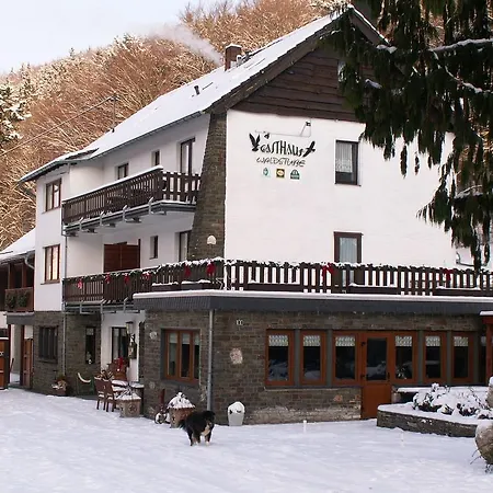 Spacious Holiday Home In Hirschrott Near Lake 別荘